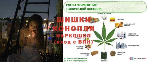 гидра Алексеевка