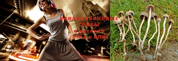 соль ск Арсеньев